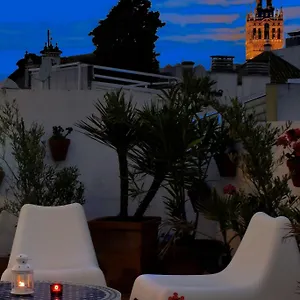Un Patio En Santa Cruz Hotel Séville